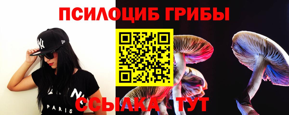 Псилоцибиновые грибы Cubensis Саратов