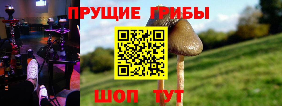 Саратов  Псилоцибиновые грибы Magic Shrooms  Вход с VPN 